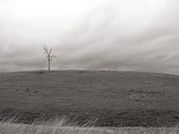 A quick scan with Kooka