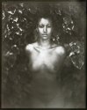 VDB Nude