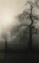 Maplelawn Farmstead