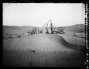 Anchorage, Wahiba Sands; Oman 2008