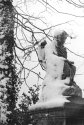 Snow Angel
