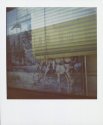 Horse Window
