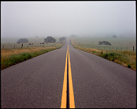 67rvpf-double-yellow