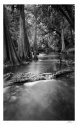 shell creek