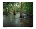 shell creek #5