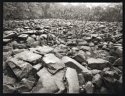 Rock Field