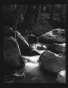 Ojai  north fork Matjilia creek
