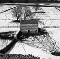 Barn and Trees in Snow