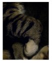 Cats Paw