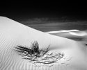 White Sands