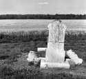 The Grave