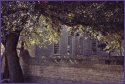Bruton Parish Church
