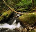 Creek Side