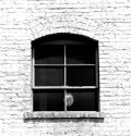 Lantern