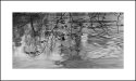 Wallkill River 1