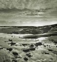 Seahouses shore1