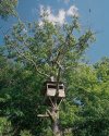 The Deerstand