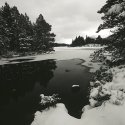 Rothiemurchus