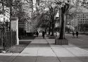 Walking Up University Ave.