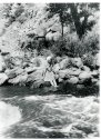 1932 negative