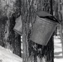 Print one neg - sap bucket
