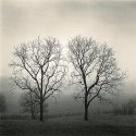 Twins, Trader's Point