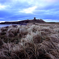 Dunstanburgh view