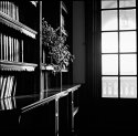 Library Afternoon