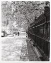 Law Society Fence (to keep the Lawyers in)