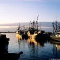 Fishing Boats #1
