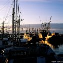 Fishing Boats #2
