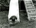 The Slide