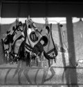 Racing Blinkers