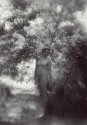 Dallmeyer landscape lens.....