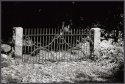 Demarcation Point