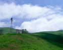 windmill-in-pasture-jpg