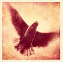 Flight II