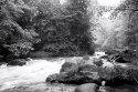 West Credit River-Fast Water