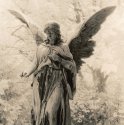 Angel #4