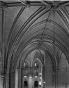 cathedral ceiling 2