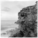 bronte study