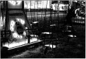 Newcastle Hoppings