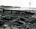Ansco Test