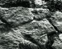 Texture