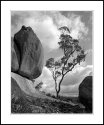 Black Mountain, NSW