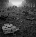 Broken tresholds