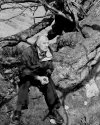 The Old Man and The Tree