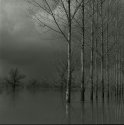 Tidal region