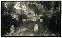 Oakwood Cemetery - 12x20 pt/pd