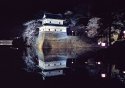Cherry Blossoms and Shibata Castle
